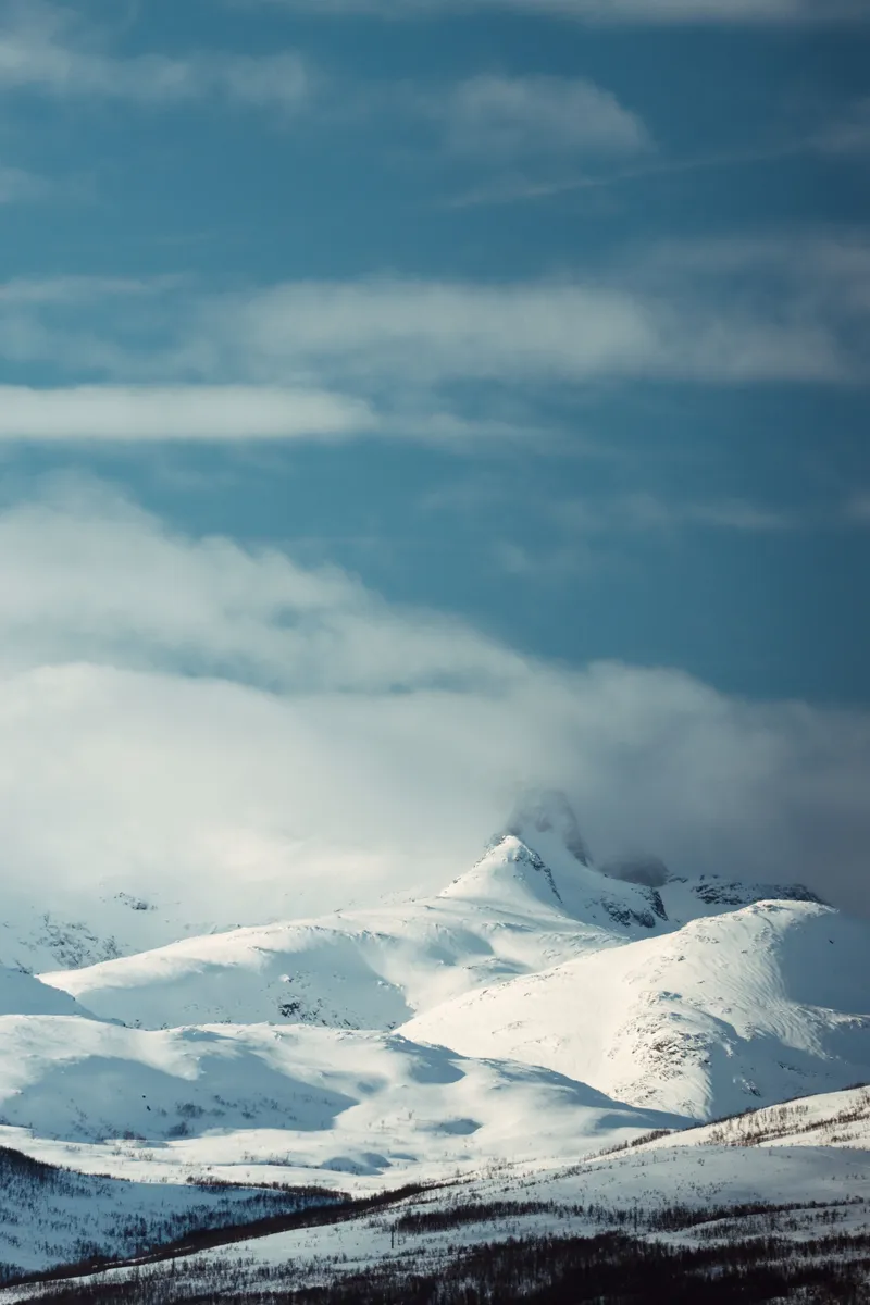 Efrem Efre via Pexels