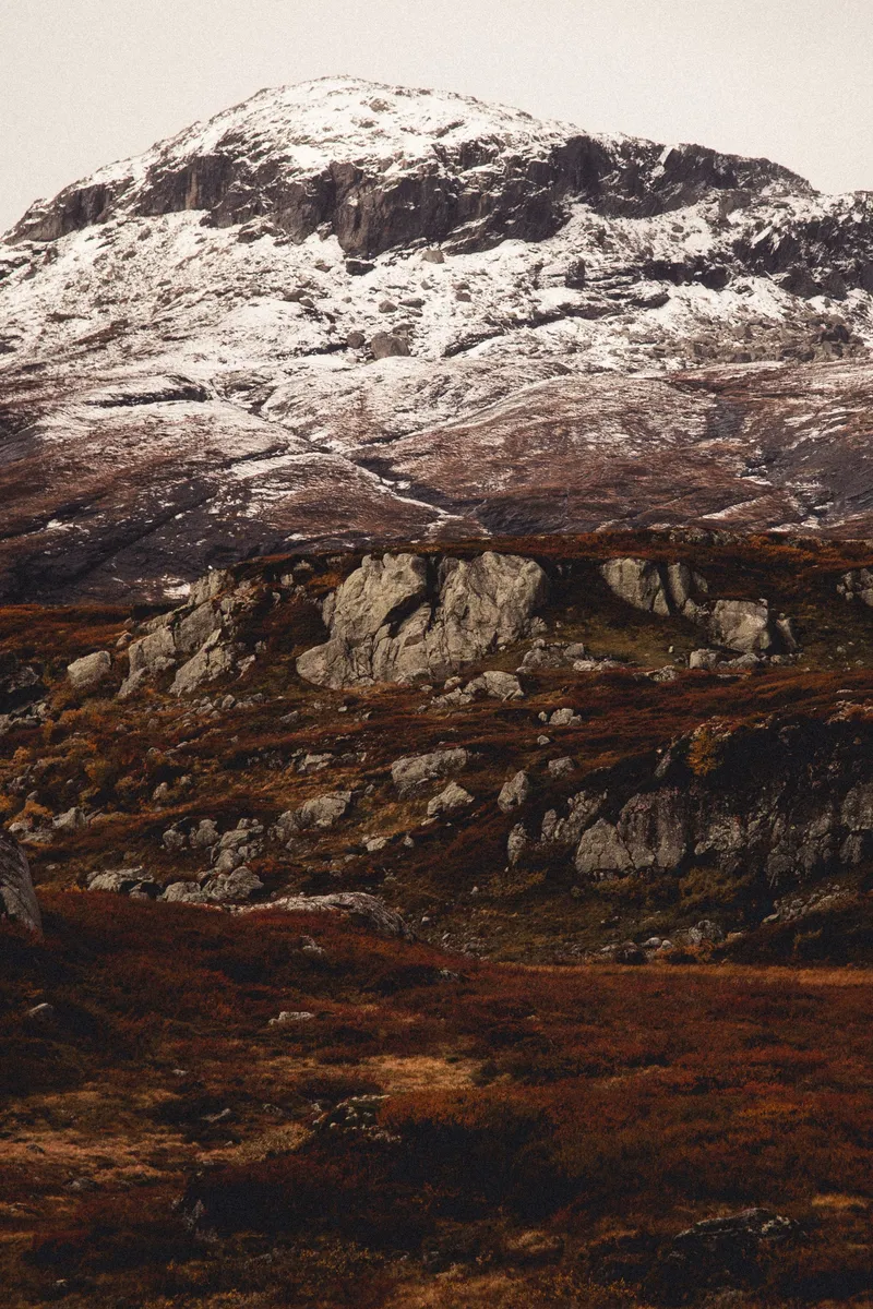 Finn Pietsch via Pexels